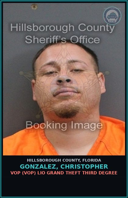CCW arrest card for GONZALEZ, CHRISTOPHER in Hillsborough County: VOP (VOP) LIO GRAND THEFT THIRD DEGREE