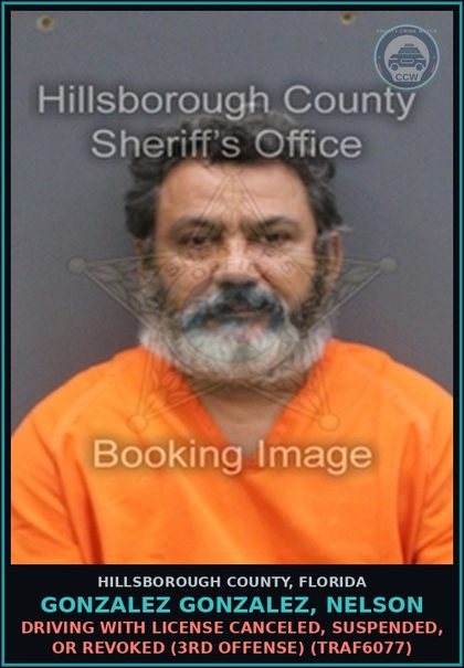 CCW arrest card for GONZALEZ GONZALEZ, NELSON in Hillsborough County: DRIVING WITH LICENSE CANCELED, SUSPENDED, OR REVOKED (3RD OFFENSE) (TRAF6077)