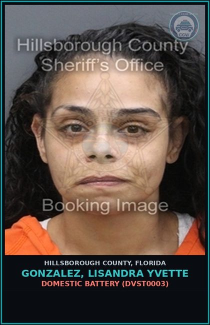 CCW arrest card for GONZALEZ, LISANDRA YVETTE in Hillsborough County: DOMESTIC BATTERY (DVST0003)