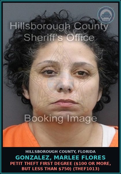 CCW arrest card for GONZALEZ, MARLEE FLORES in Hillsborough County: PETIT THEFT FIRST DEGREE ($100 OR MORE, BUT LESS THAN $750) (THEF1013)