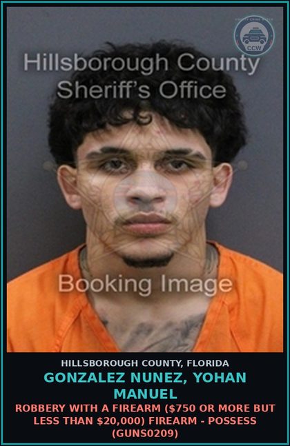 CCW arrest card for GONZALEZ NUNEZ, YOHAN MANUEL in Hillsborough County: GRAND THEFT FIREARM (THEF2101)