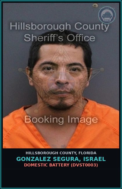 CCW arrest card for GONZALEZ SEGURA, ISRAEL in Hillsborough County: DOMESTIC BATTERY (DVST0003)
