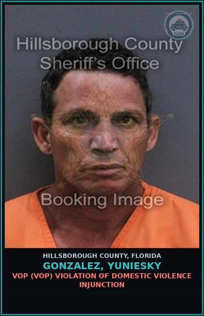 CCW arrest card for GONZALEZ, YUNIESKY in Hillsborough County: VOP (VOP) VIOLATION OF DOMESTIC VIOLENCE INJUNCTION