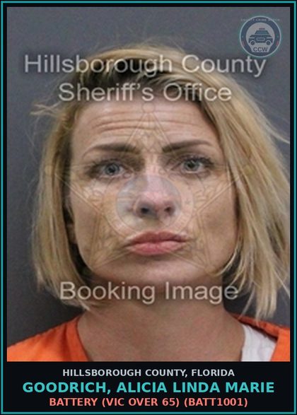 CCW arrest card for GOODRICH, ALICIA LINDA MARIE in Hillsborough County: BATTERY (VICTIM OVER 65) (BATT1001)