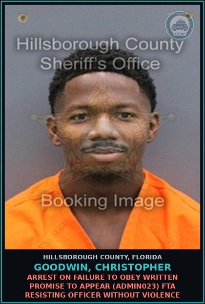 CCW arrest card for GOODWIN, CHRISTOPHER in Hillsborough County: ARREST ON FAILURE TO OBEY WRITTEN PROMISE TO APPEAR (ADMIN023) FTA RESISTING OFFICER WITHOUT VIOLENCE