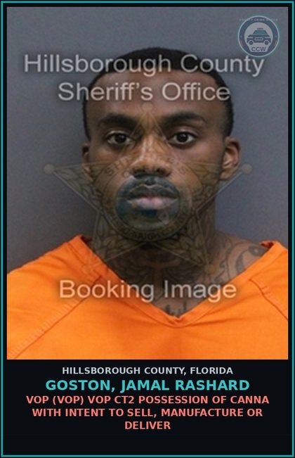CCW arrest card for GOSTON, JAMAL RASHARD in Hillsborough County: VOP (VOP) VOP CT2 POSSESSION OF Canna WITH INTENT TO SELL, MANUFACTURE OR DELIVER