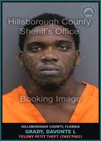 CCW arrest card for GRADY, DAVONTE L in Hillsborough County: FELONY PETIT THEFT (THEF7002)