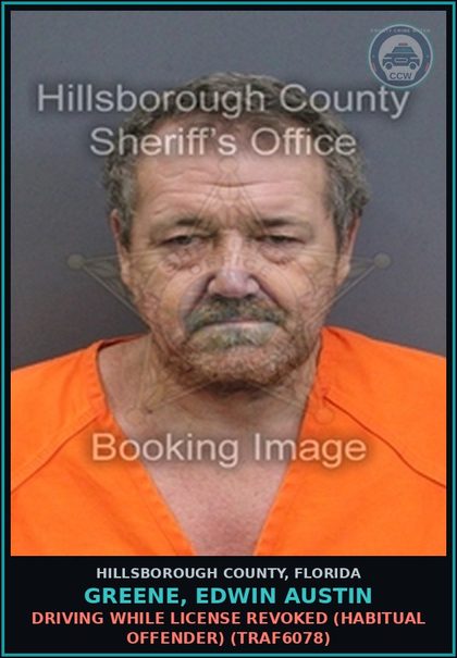 CCW arrest card for GREENE, EDWIN AUSTIN in Hillsborough County: DRIVING WHILE LICENSE REVOKED (HABITUAL OFFENDER) (TRAF6078)