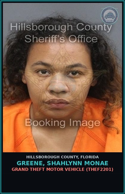 CCW arrest card for GREENE, SHAHLYNN MONAE in Hillsborough County: GRAND THEFT MOTOR VEHICLE (THEF2201)