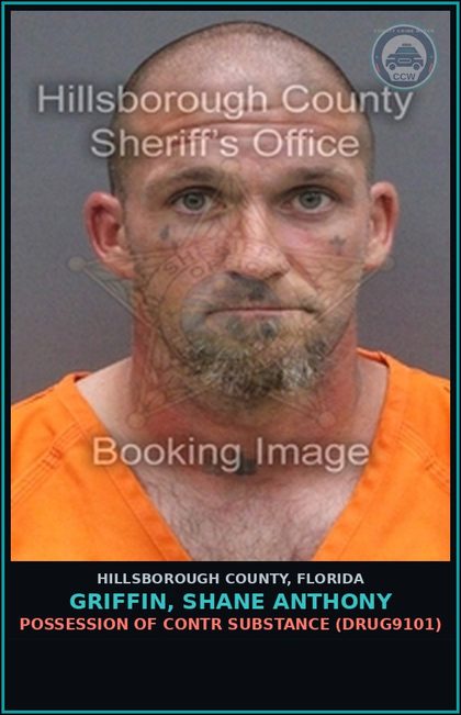 CCW arrest card for GRIFFIN, SHANE ANTHONY in Hillsborough County: POSSESSION OF contr substance (DRUG9101)