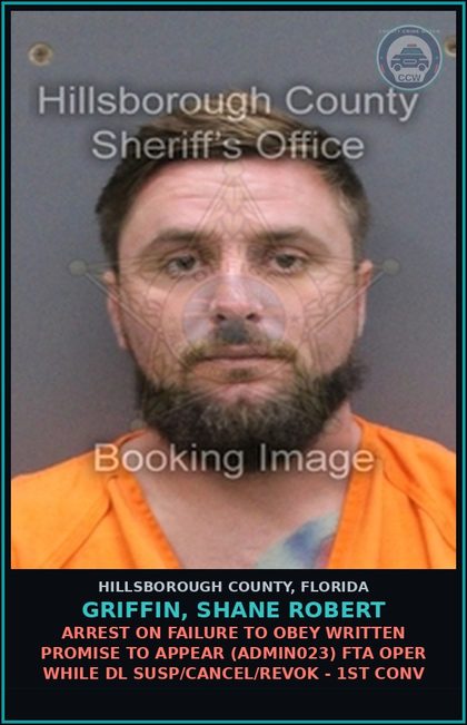 CCW arrest card for GRIFFIN, SHANE ROBERT in Hillsborough County: ARREST ON FAILURE TO OBEY WRITTEN PROMISE TO APPEAR (ADMIN023) FTA OPER WHILE DL SUSP/CANCEL/REVOK - 1ST CONV