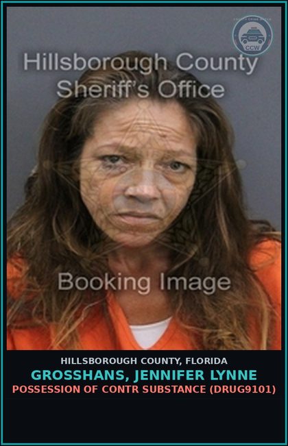 CCW arrest card for GROSSHANS, JENNIFER LYNNE in Hillsborough County: POSSESSION OF contr substance (DRUG9101)