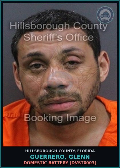 CCW arrest card for GUERRERO, GLENN in Hillsborough County: DOMESTIC BATTERY (DVST0003)