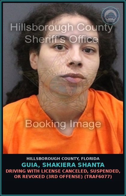 CCW arrest card for GUIA, SHAKIERA SHANTA in Hillsborough County: DRIVING WITH LICENSE CANCELED, SUSPENDED, OR REVOKED (3RD OFFENSE) (TRAF6077)