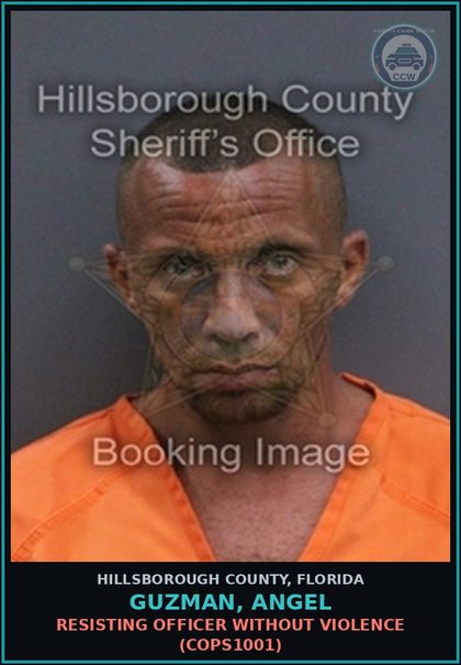 CCW arrest card for GUZMAN, ANGEL in Hillsborough County: RESISTING OFFICER WITHOUT VIOLENCE (COPS1001)