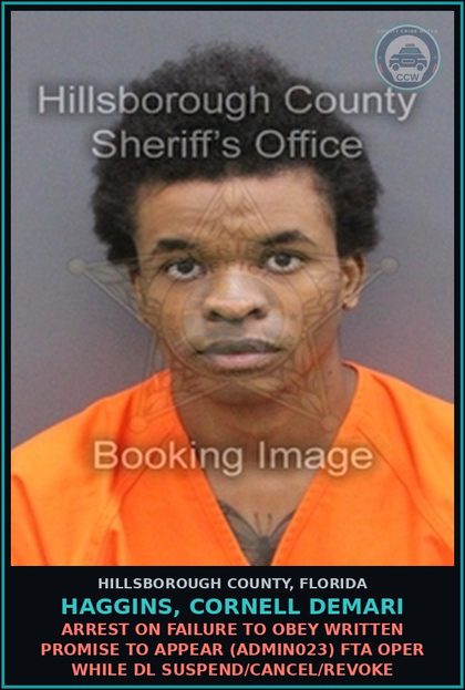 CCW arrest card for HAGGINS, CORNELL DEMARI in Hillsborough County: ARREST ON FAILURE TO OBEY WRITTEN PROMISE TO APPEAR (ADMIN023) FTA OPER WHILE DL SUSPEND/CANCEL/REVOKE