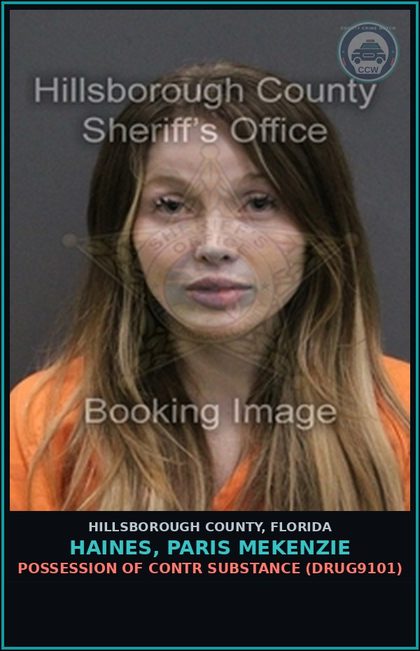 CCW arrest card for HAINES, PARIS MEKENZIE in Hillsborough County: POSSESSION OF contr substance (DRUG9101)
