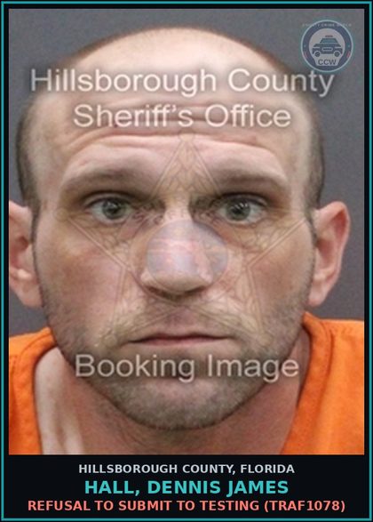 CCW arrest card for HALL, DENNIS JAMES in Hillsborough County: REFUSAL TO SUBMIT TO TESTING (TRAF1078)