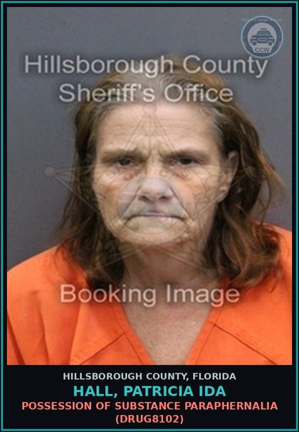 CCW arrest card for HALL, PATRICIA IDA in Hillsborough County: POSSESSION OF DRUG PARAPHERNALIA (DRUG8102)