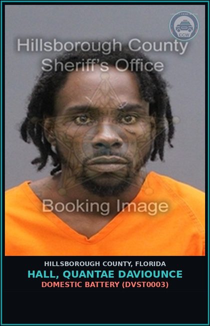 CCW arrest card for HALL, QUANTAE DAVIOUNCE in Hillsborough County: DOMESTIC BATTERY (DVST0003)