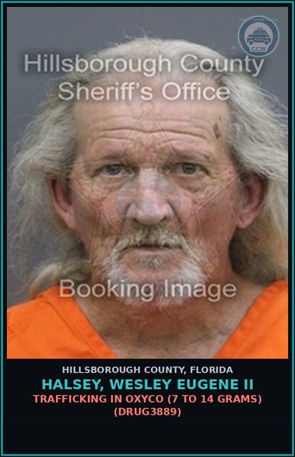 CCW arrest card for HALSEY, WESLEY EUGENE II in Hillsborough County: TRAFFICKING IN oxyco (7 TO 14 GRAMS) (DRUG3889)