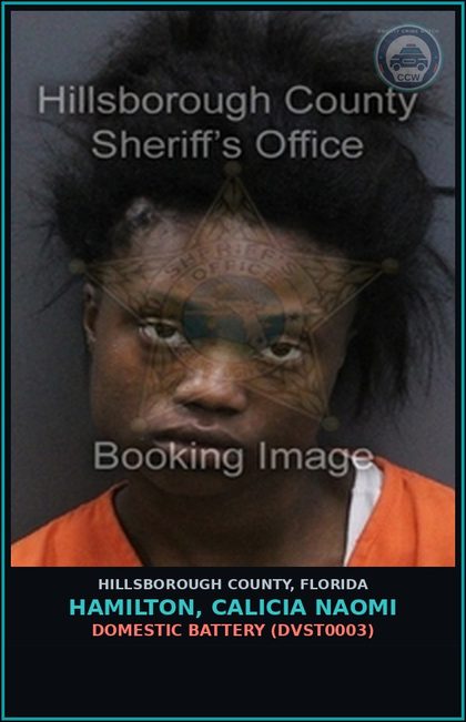CCW arrest card for HAMILTON, CALICIA NAOMI in Hillsborough County: DOMESTIC BATTERY (DVST0003)