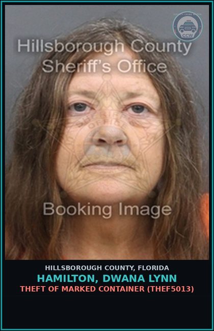 CCW arrest card for HAMILTON, DWANA LYNN in Hillsborough County: THEFT OF MARKED CONTAINER (THEF5013)