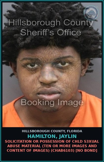 CCW arrest card for HAMILTON, JAYLIN in Hillsborough County: SOLICITATION OR POSSESSION OF chld s3xual ABUSE MATERIAL (TEN OR MORE IMAGES AND CONTENT OF IMAGES) (CHAB6103) [NO BOND]