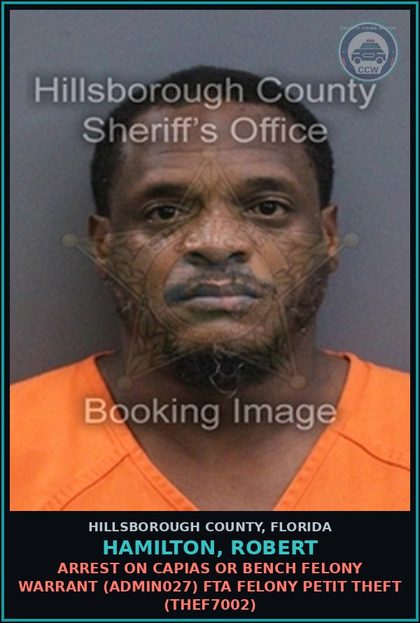 CCW arrest card for HAMILTON, ROBERT in Hillsborough County: ARREST ON CAPIAS OR BENCH FELONY WARRANT (ADMIN027) FTA FELONY PETIT THEFT (THEF7002)