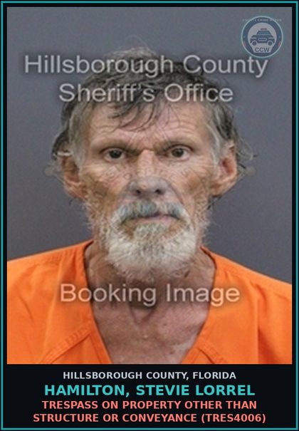 CCW arrest card for HAMILTON, STEVIE LORREL in Hillsborough County: TRESPASS ON PROPERTY OTHER THAN STRUCTURE OR CONVEYANCE (TRES4006)