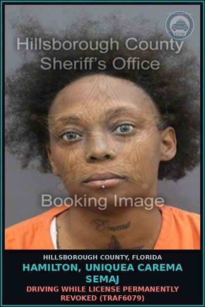 CCW arrest card for HAMILTON, UNIQUEA CAREMA SEMAJ in Hillsborough County: DRIVING WHILE LICENSE PERMANENTLY REVOKED (TRAF6079)