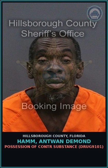 CCW arrest card for HAMM, ANTWAN DEMOND in Hillsborough County: POSSESSION OF contr substance (DRUG9101)