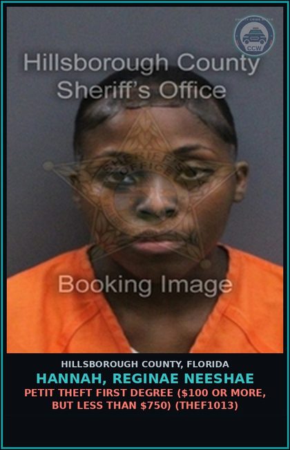 CCW arrest card for HANNAH, REGINAE NEESHAE in Hillsborough County: PETIT THEFT FIRST DEGREE ($100 OR MORE, BUT LESS THAN $750) (THEF1013)
