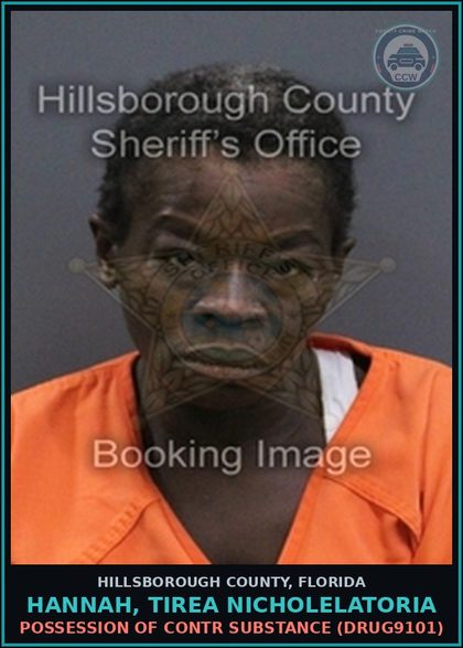 CCW arrest card for HANNAH, TIREA NICHOLELATORIA in Hillsborough County: POSSESSION OF contr substance (DRUG9101)
