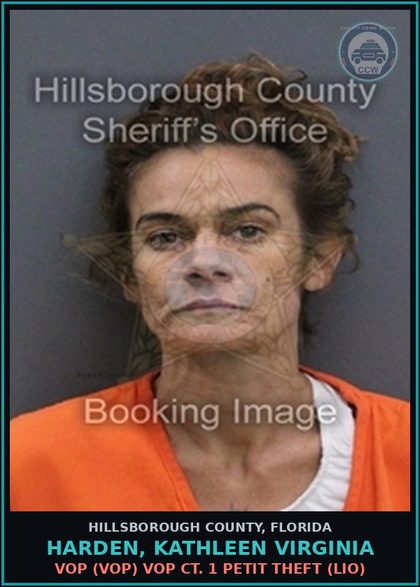 CCW arrest card for HARDEN, KATHLEEN VIRGINIA in Hillsborough County: VOP (VOP) VOP CT. 1 PETIT THEFT (LIO)