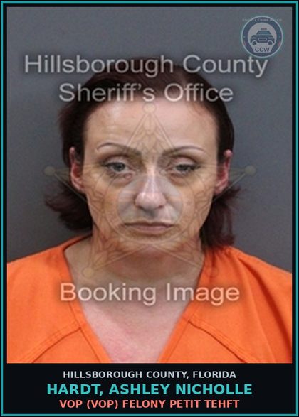 CCW arrest card for HARDT, ASHLEY NICHOLLE in Hillsborough County: VOP (VOP) FELONY PETIT TEHFT