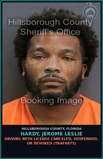 CCW arrest card for HARDY, JEROME LESLIE in Hillsborough County: DRIVING WITH LICENSE CANCELED, SUSPENDED, OR REVOKED (TRAF6075)