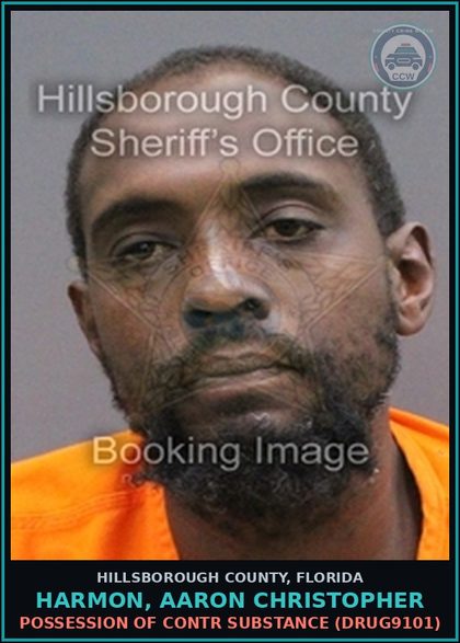 CCW arrest card for HARMON, AARON CHRISTOPHER in Hillsborough County: POSSESSION OF contr substance (DRUG9101)