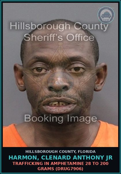 CCW arrest card for HARMON, CLENARD ANTHONY JR in Hillsborough County: UNLAWFUL POSSESSION OF PERSONAL IDENTIFICATION OF ANOTHER (5 OR MORE) (FRAU1215)