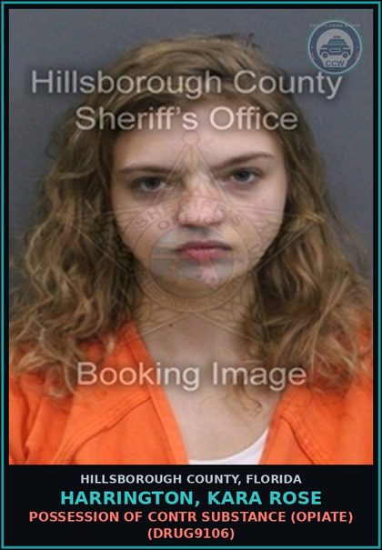 CCW arrest card for HARRINGTON, KARA ROSE in Hillsborough County: POSSESSION OF contr substance (OPIATE) (DRUG9106)