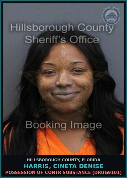 CCW arrest card for HARRIS, CINETA DENISE in Hillsborough County: POSSESSION OF contr substance (DRUG9101)