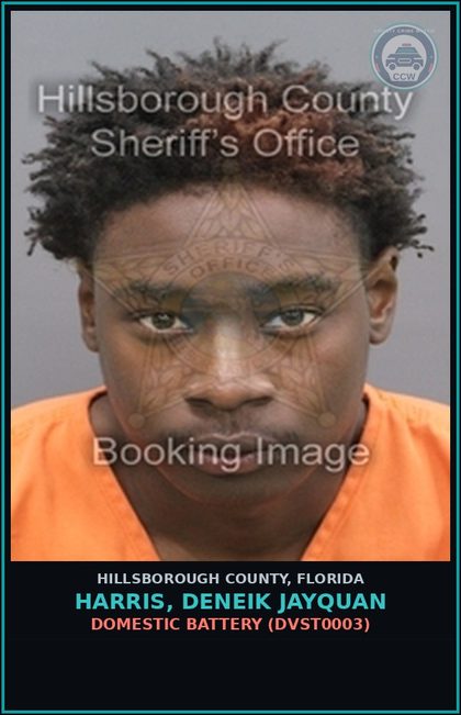 CCW arrest card for HARRIS, DENEIK JAYQUAN in Hillsborough County: DOMESTIC BATTERY (DVST0003)