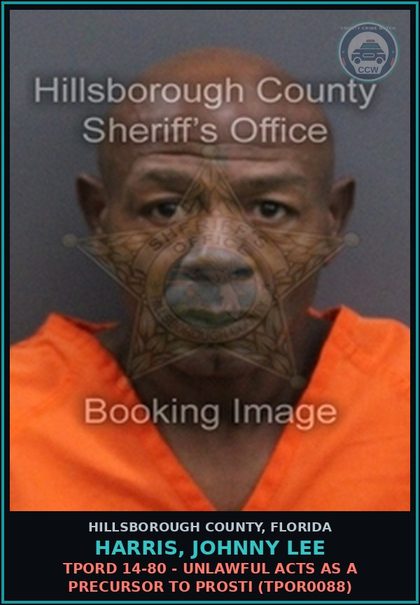 CCW arrest card for HARRIS, JOHNNY LEE in Hillsborough County: TPORD 14-80 - UNLAWFUL ACTS AS A PRECURSOR TO Prosti (TPOR0088)