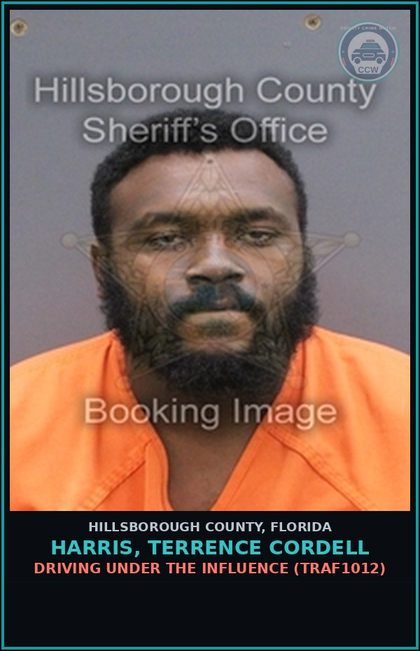 CCW arrest card for HARRIS, TERRENCE CORDELL in Hillsborough County: DRIVING UNDER THE INFLUENCE (TRAF1012)