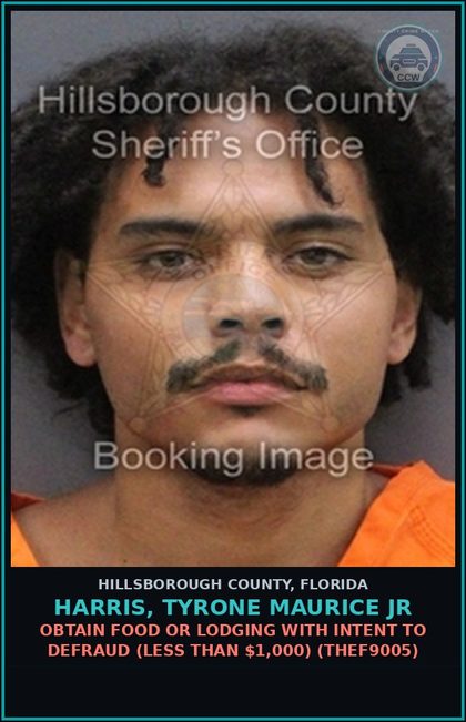 CCW arrest card for HARRIS, TYRONE MAURICE JR in Hillsborough County: OBTAIN FOOD OR LODGING WITH INTENT TO DEFRAUD (LESS THAN $1,000) (THEF9005)