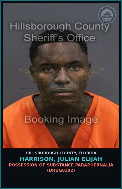 CCW arrest card for HARRISON, JULIAN ELIJAH in Hillsborough County: POSSESSION OF DRUG PARAPHERNALIA (DRUG8102)