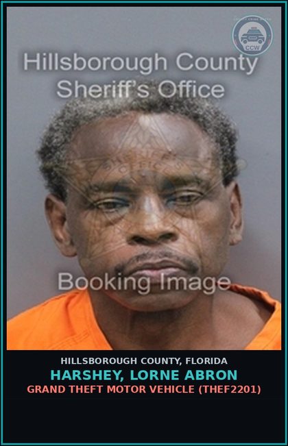 CCW arrest card for HARSHEY, LORNE ABRON in Hillsborough County: GRAND THEFT MOTOR VEHICLE (THEF2201)
