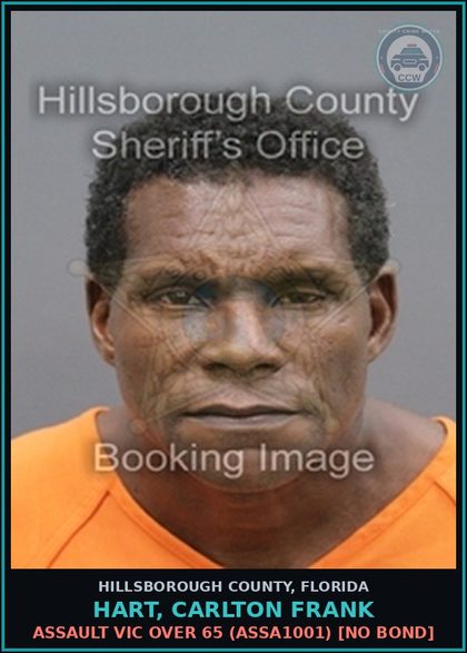 CCW arrest card for HART, CARLTON FRANK in Hillsborough County: ASSAULT VICTIM OVER 65 (ASSA1001) [NO BOND]