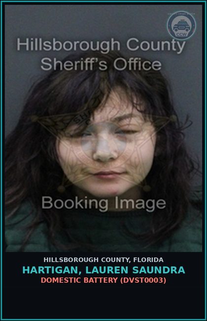 CCW arrest card for HARTIGAN, LAUREN SAUNDRA in Hillsborough County: DOMESTIC BATTERY (DVST0003)