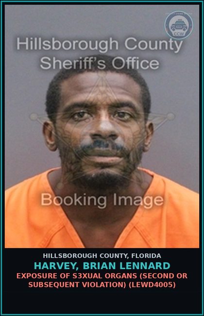 CCW arrest card for HARVEY, BRIAN LENNARD in Hillsborough County: EXPOSURE OF s3xual ORGANS (SECOND OR SUBSEQUENT VIOLATION) (LEWD4005)